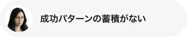 成功パターンの蓄積がない